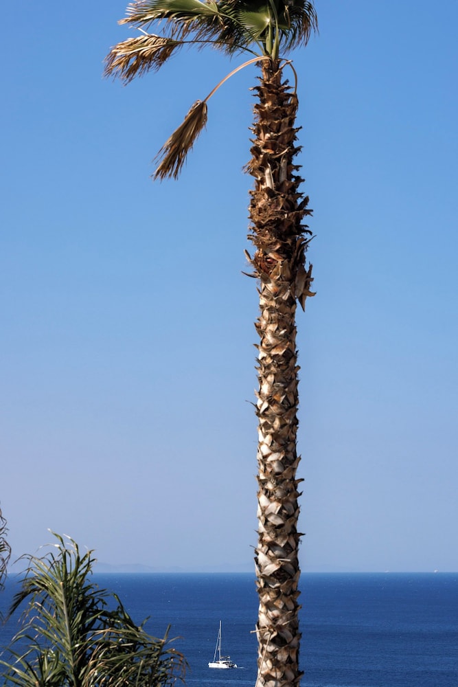 Maximus Mykonos Adults Only 45/58