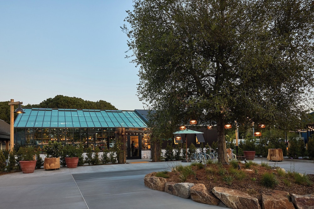 Treehouse Hotel Silicon Valley 1/50