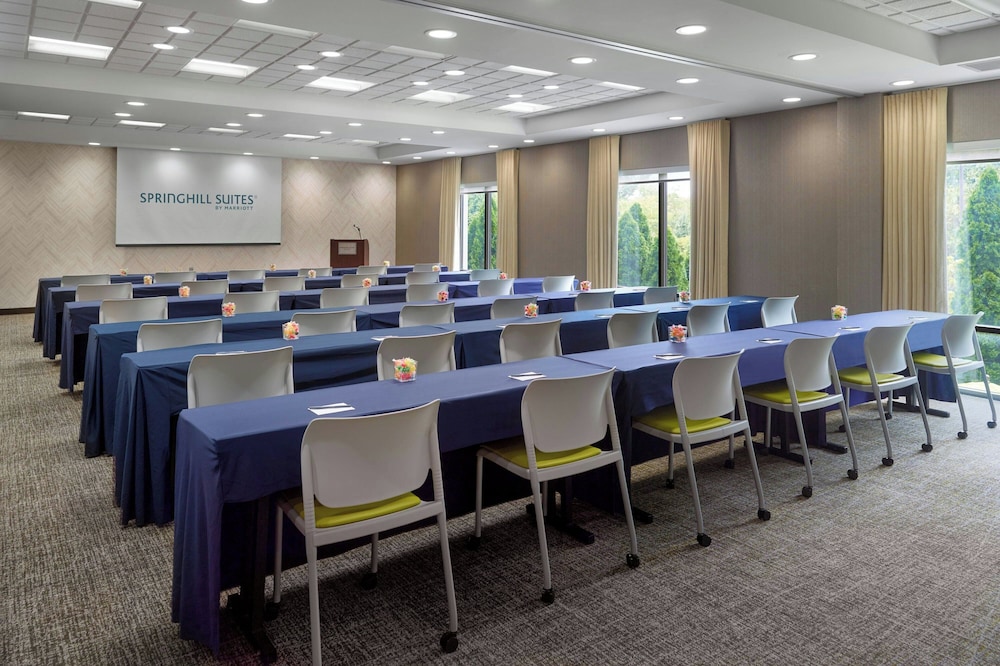 Springhill Suites Hagerstown 39/50