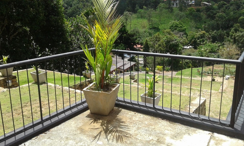 Hotel Alta Vista 44/49