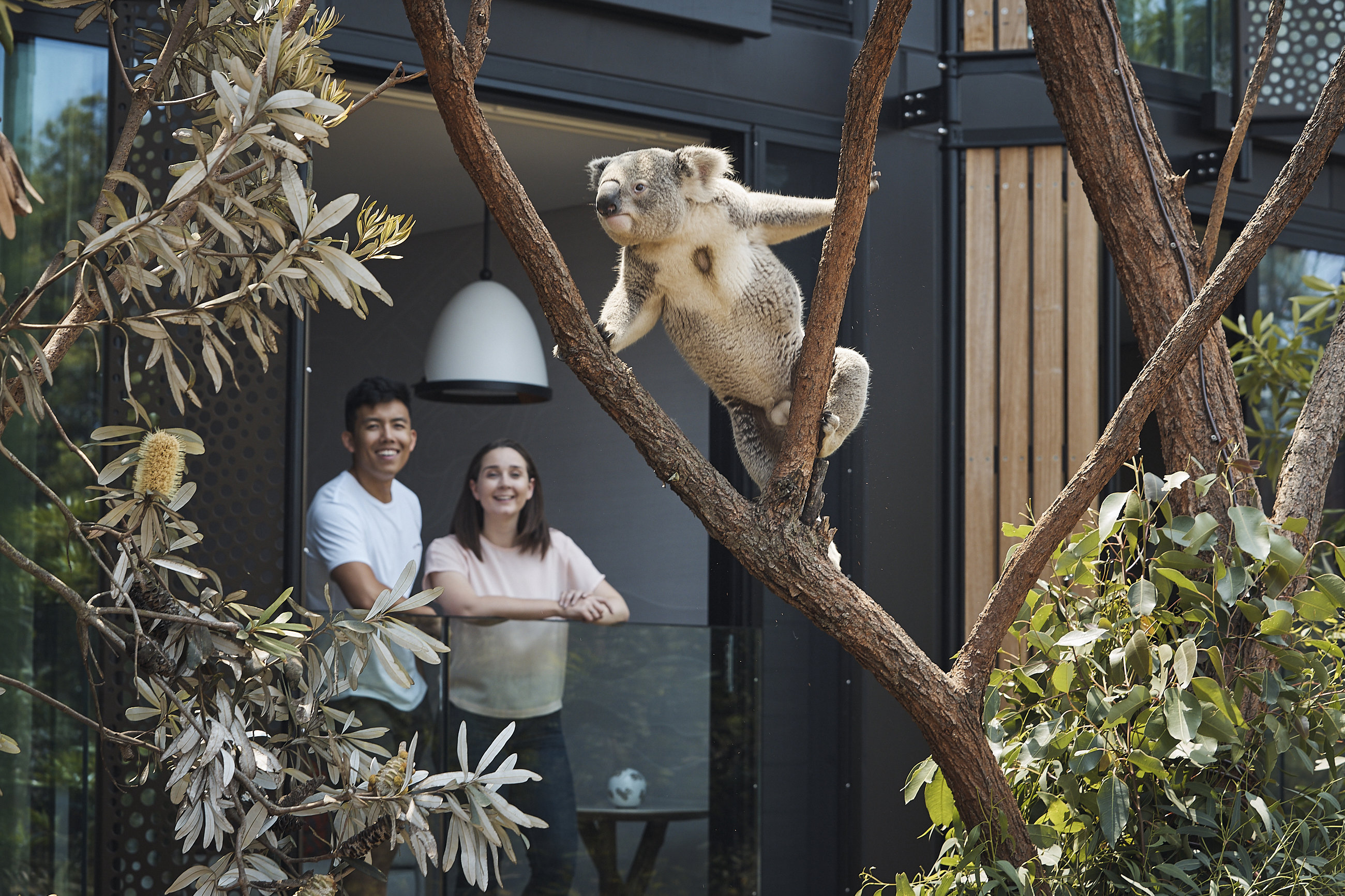 Wildlife Retreat at Taronga 2/18