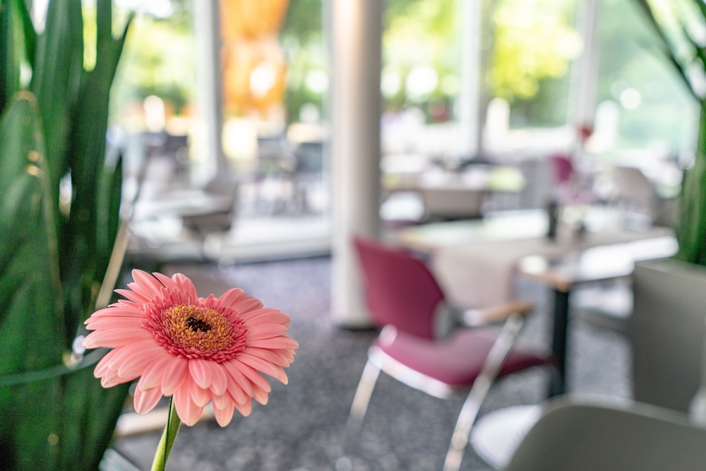 Globana Airport Hotel 33/46