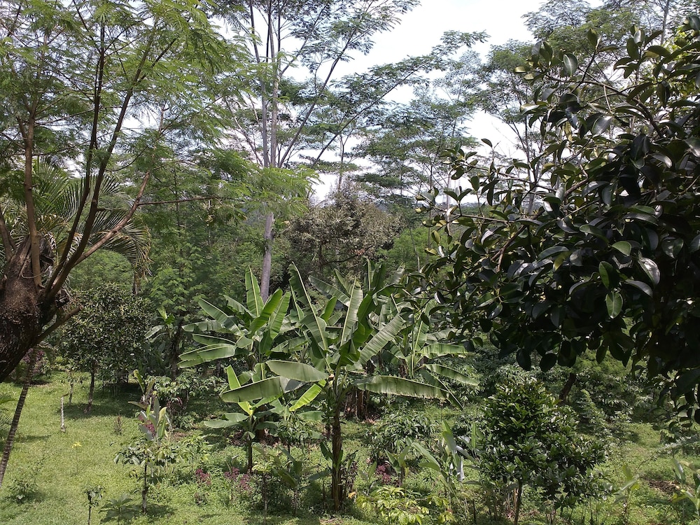 Mesastila 47/49