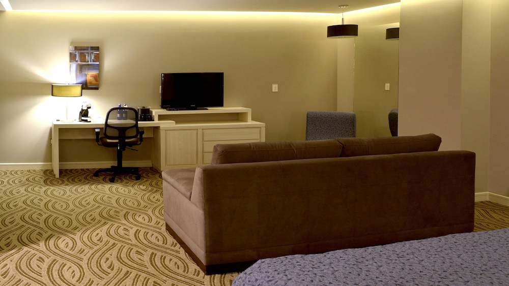 Holiday Inn Express Pachuca 7/57