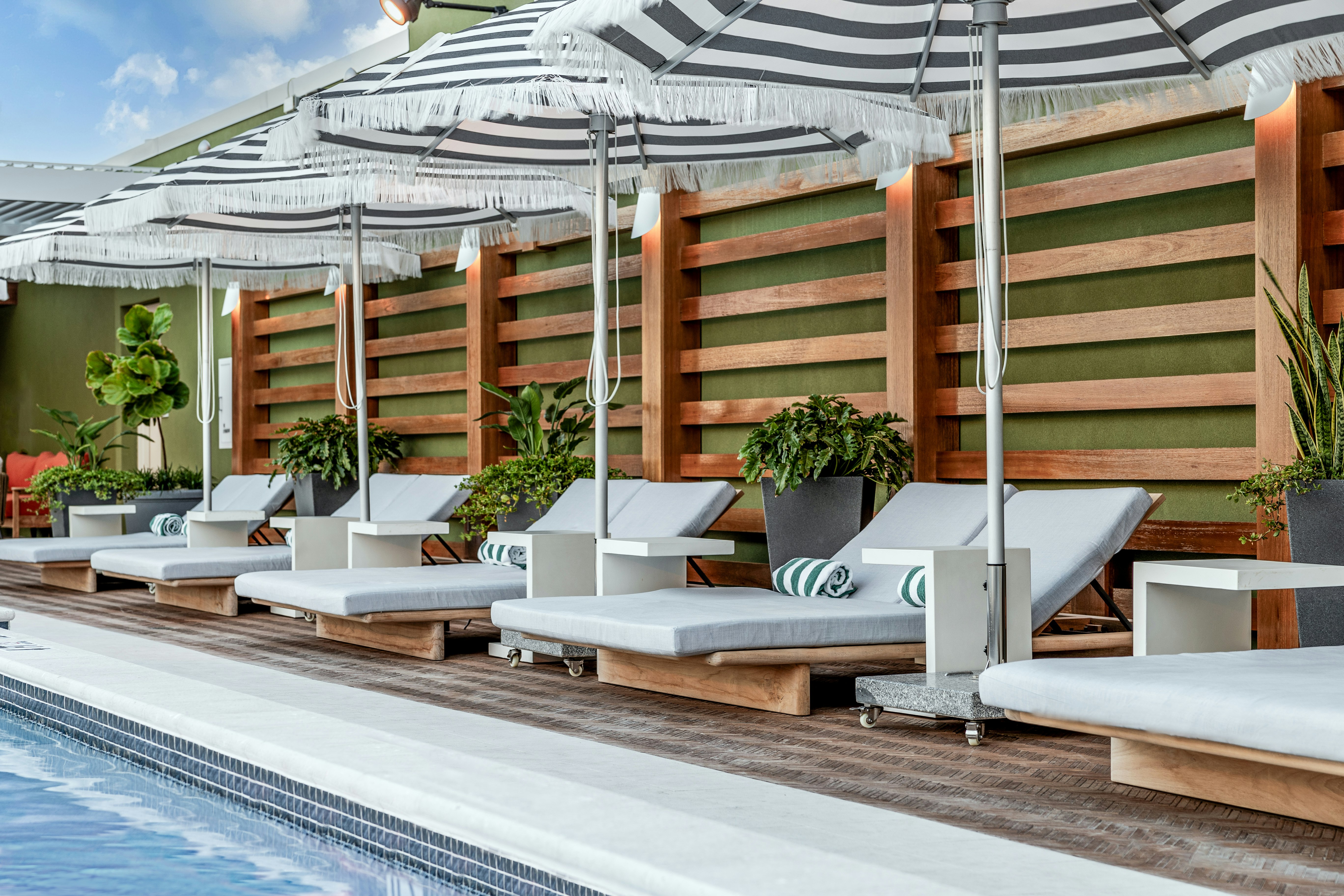 The Hiatus Clearwater Beach Curio Collection by Hilton 6/53