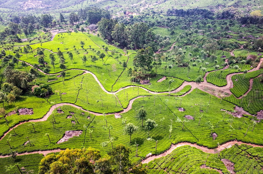 Sterling Munnar 33/73