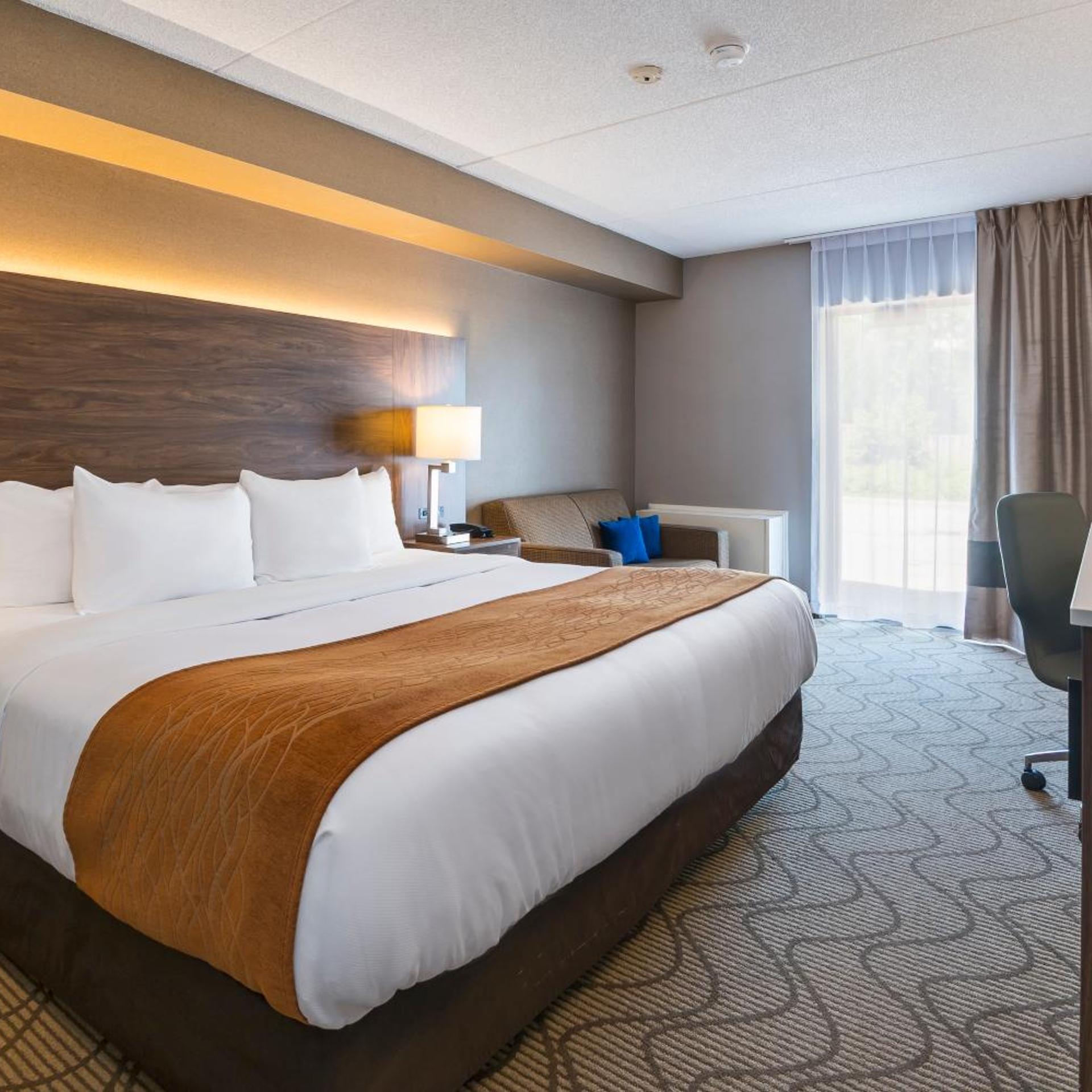 Room, Queen Bed, Sofa, Ground Floor