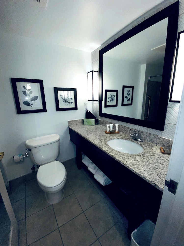 جناح بسرير كينج بغرفة نوم واحدة، Country Inn & Suites by Radisson, Queensbury - Lake George 7/7