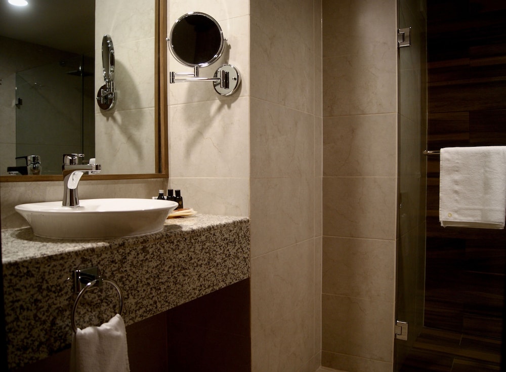Hotel Velvet Plaza 22/64
