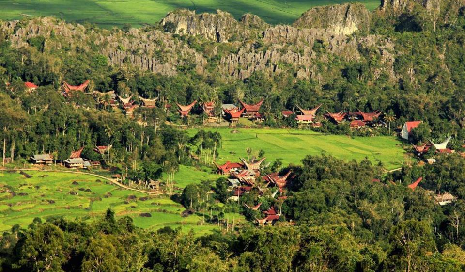 Toraja Misiliana 36/49