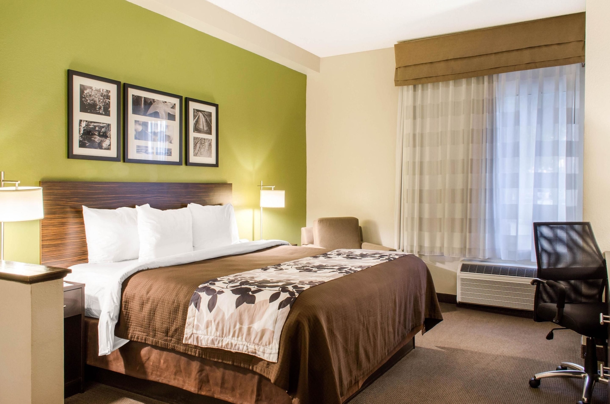 ROOM, KING BED, ACCESSIBLE