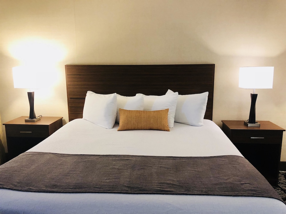 Best Western Westminster Hotel 17/39