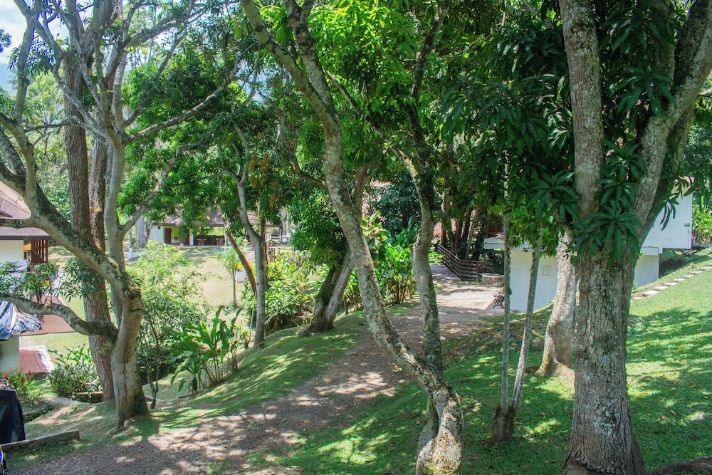 La Selva Hotel San Jeronimo 31/50