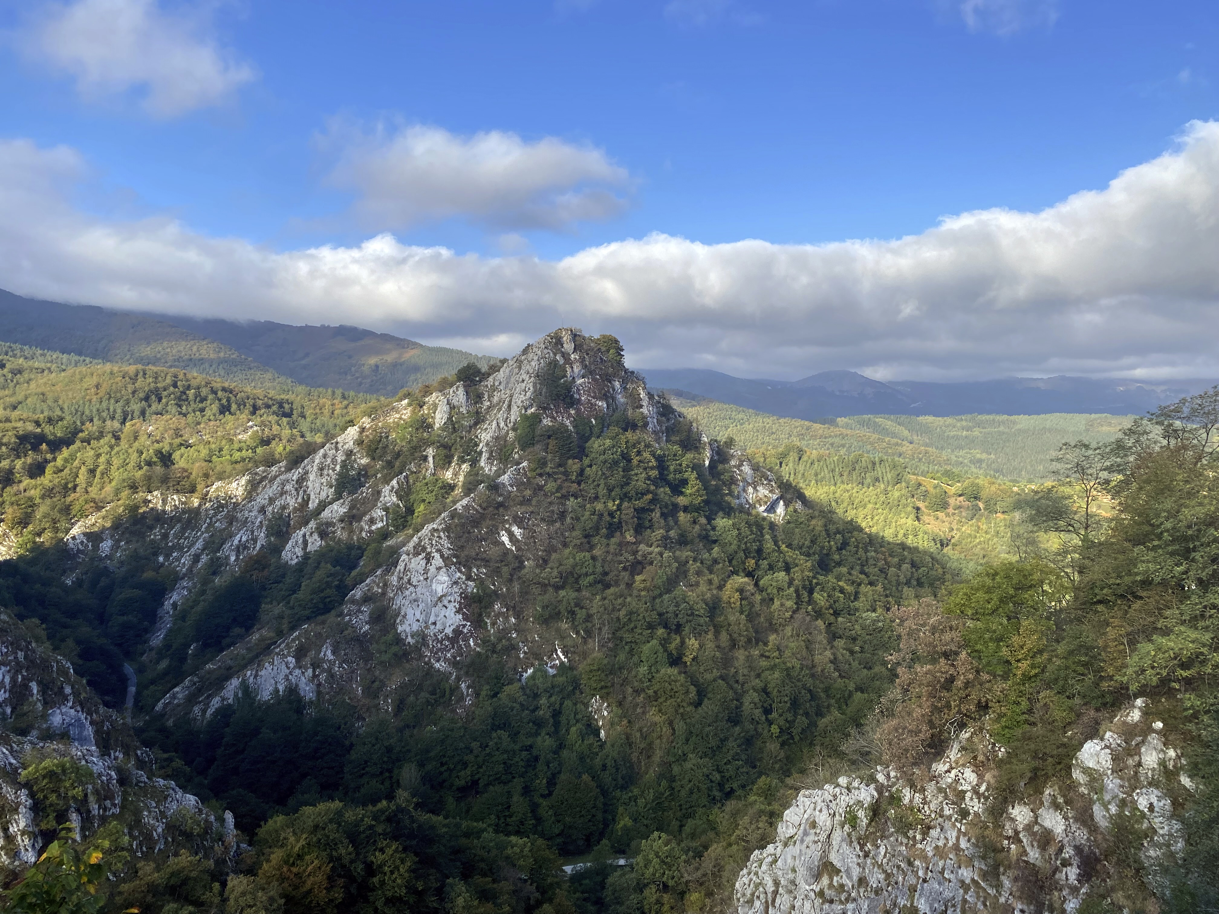 surroundings