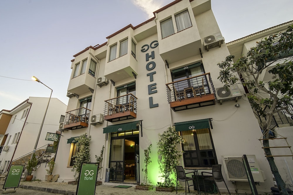 The Green Goose Hotel 2/30