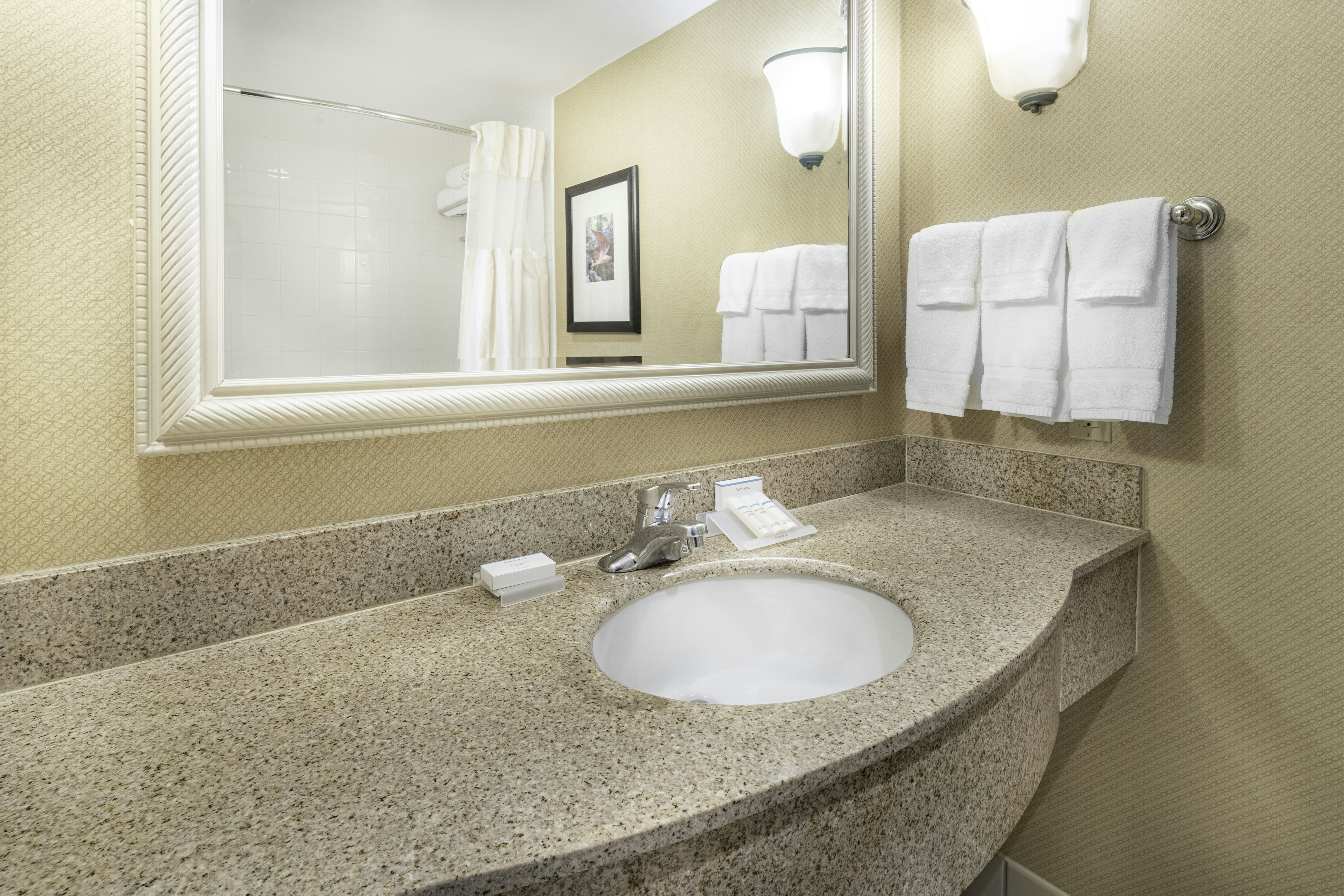 غرفة بسريرين كوين لذوي الإعاقة، Hilton Garden Inn Houston The Woodlands 2/4