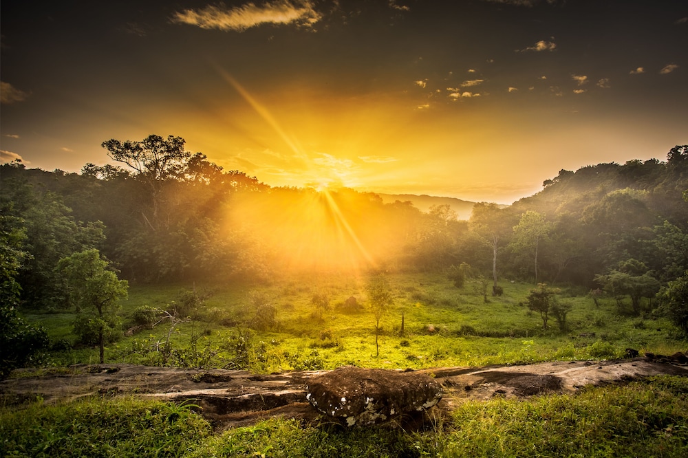 Ahaspokuna Bushwalks Camp 38/50