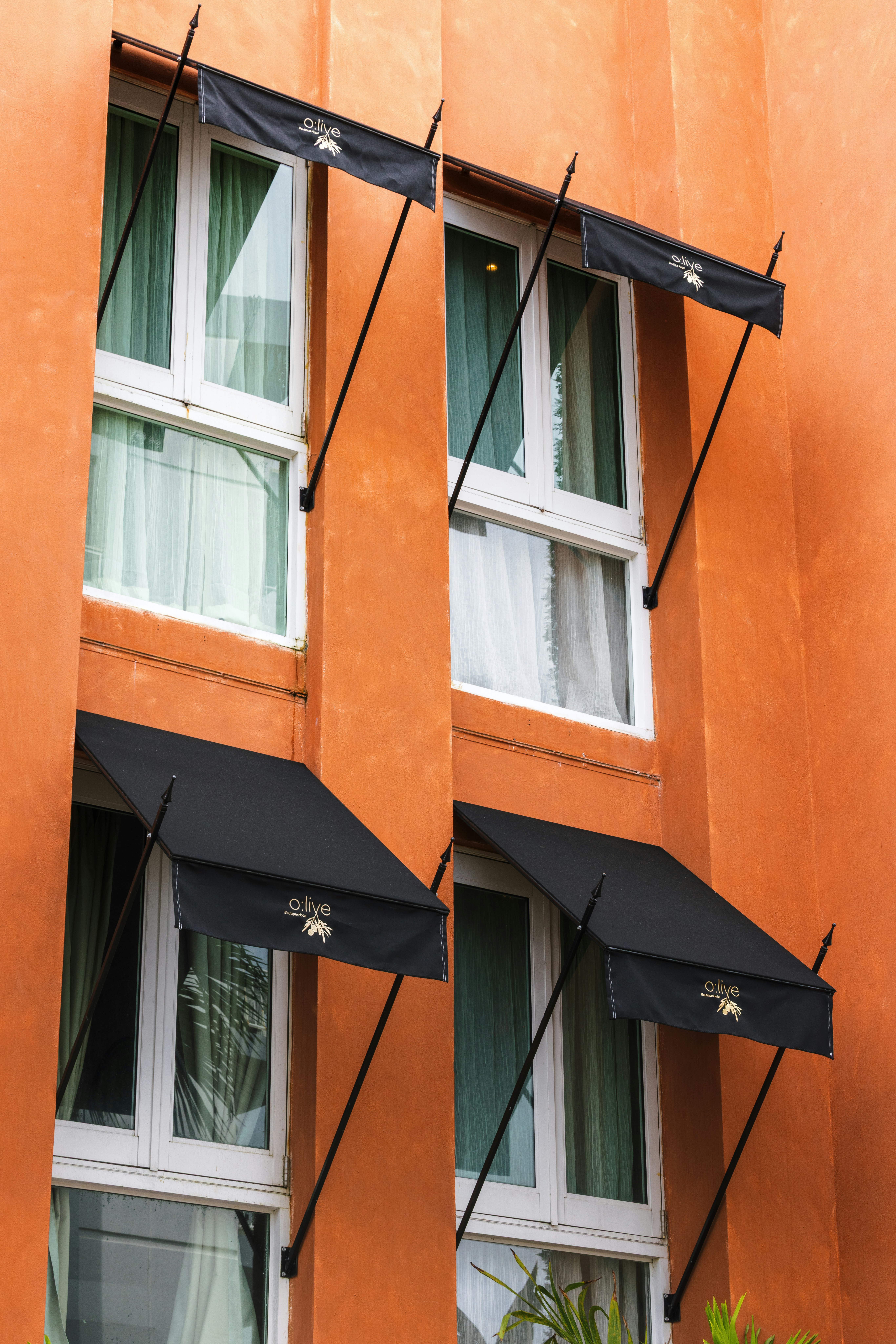 Olive Boutique Hotel 2/46
