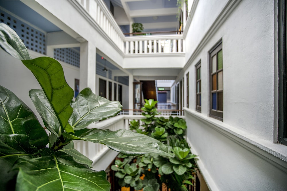 Areca Hotel Penang 55/70