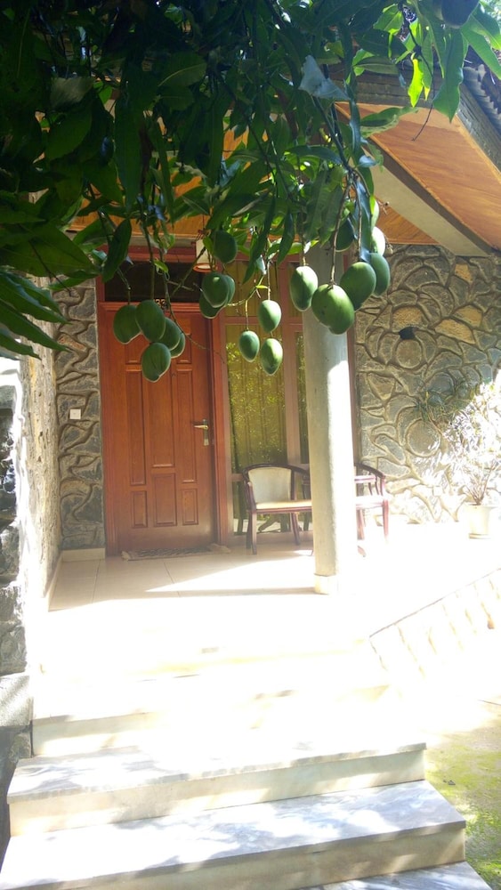Abay Minch Lodge 34/50