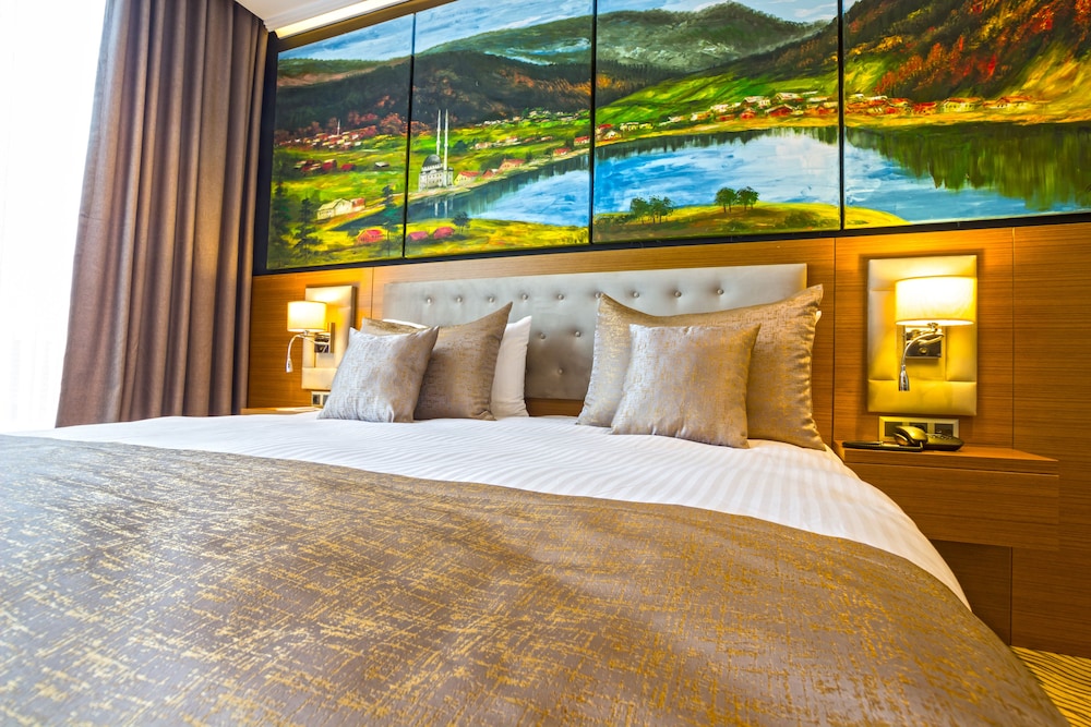 Aselia Hotel Trabzon 18/38