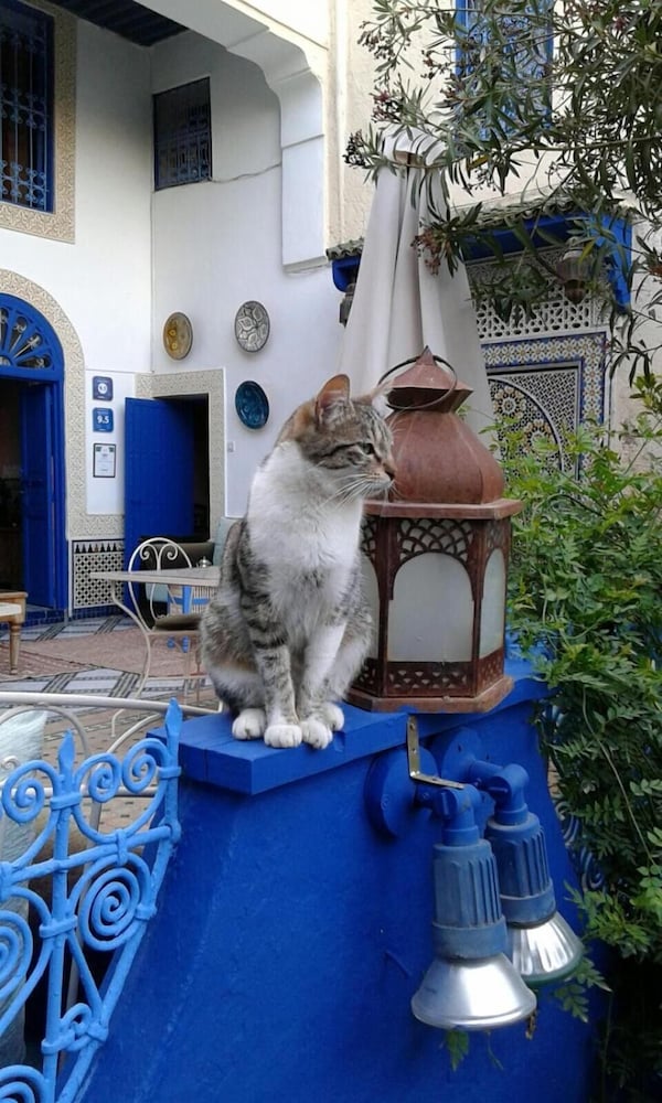 Riad Jean Claude 28/48