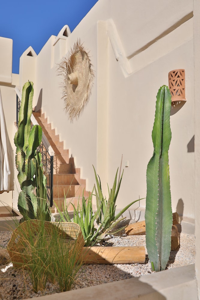 Riad Al Badia 45/50