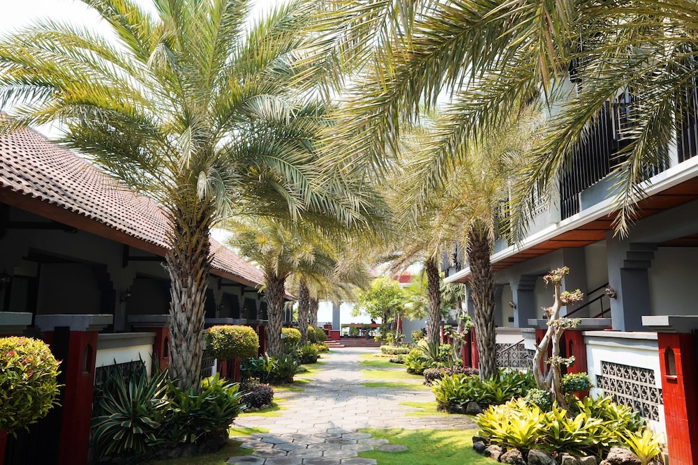Kubu Beach Lovina 3/72