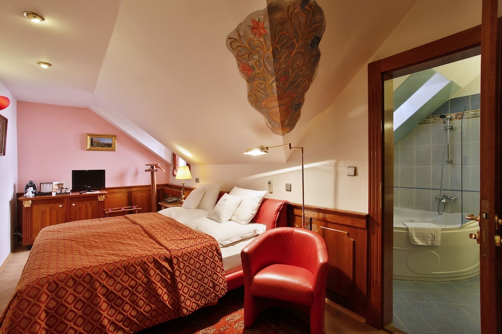 Hotel U Pava 24/49