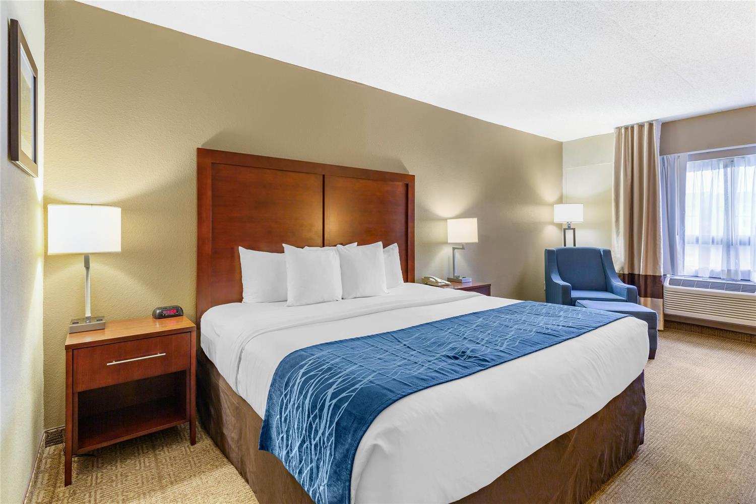 Efficiency, Suite, King Bed