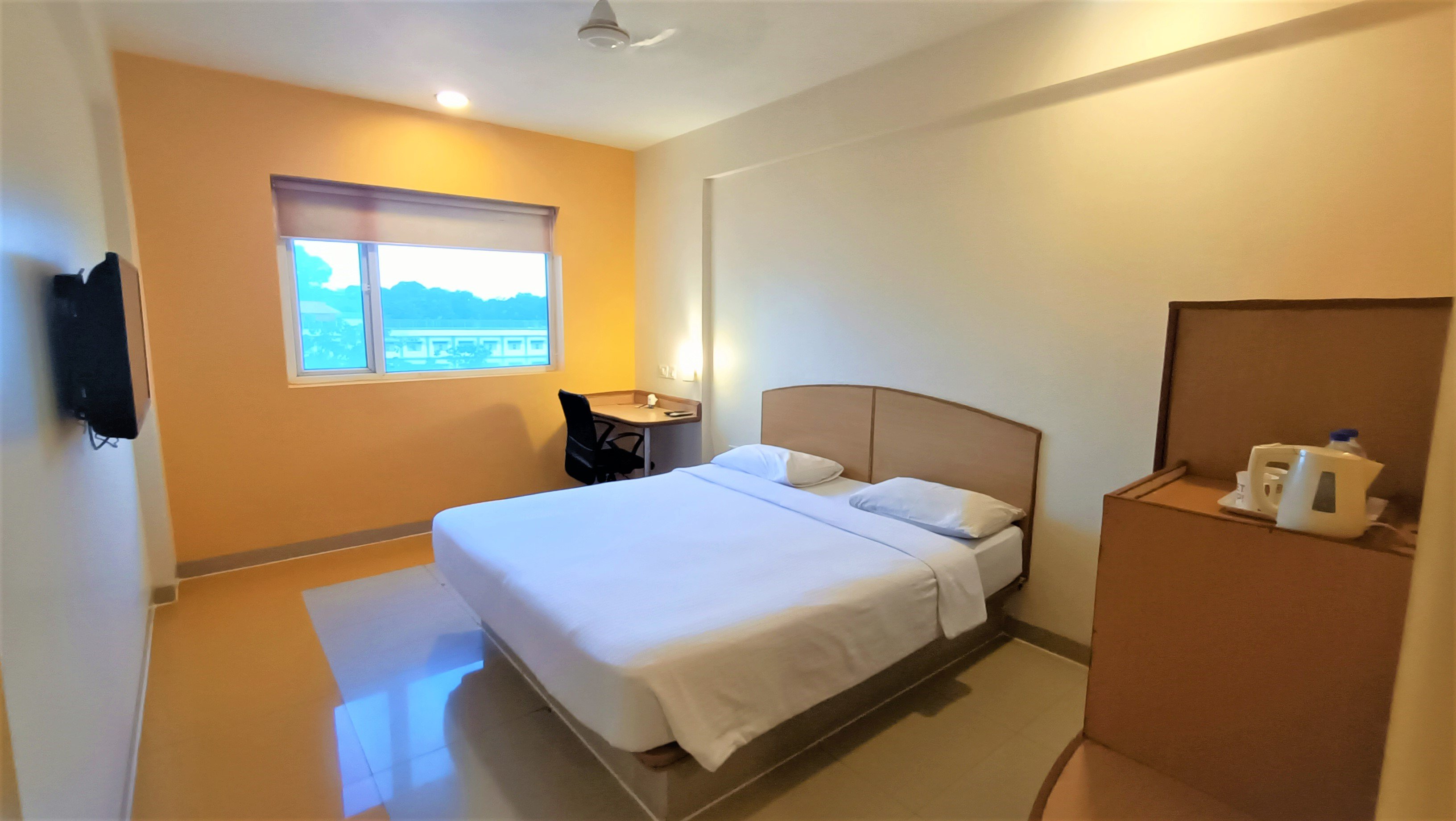 GINGER AGARTALA 23/48