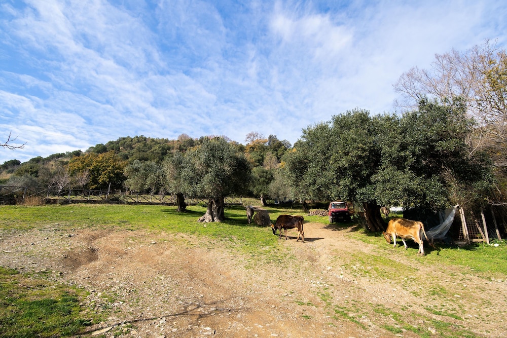 Agriturismo San Basilio 3/65