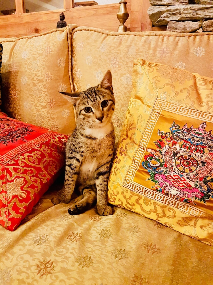 Three Jewels Boutique Hotel photo2