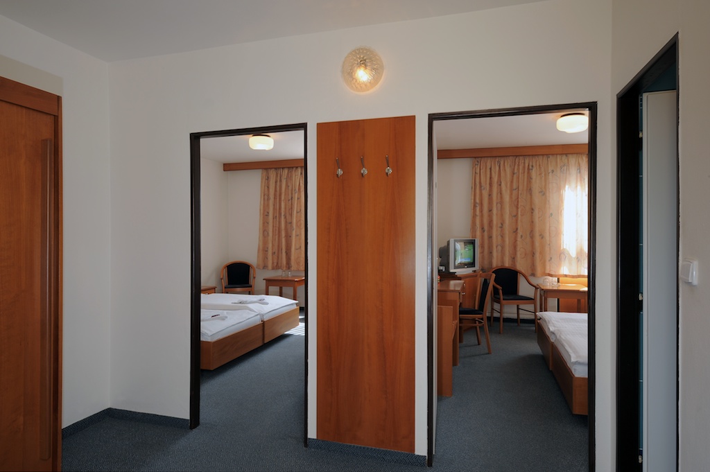 Congress and Wellness Hotel Olsanka Superior 41/42