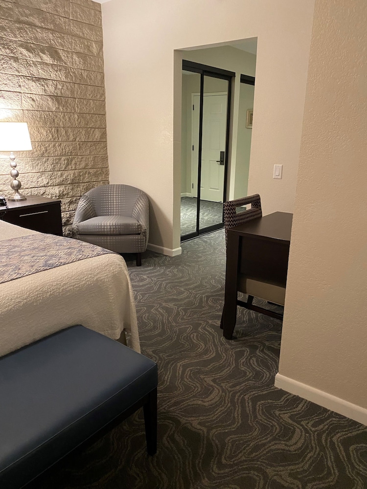 1 BEDROOM, CONDO, DELUXE