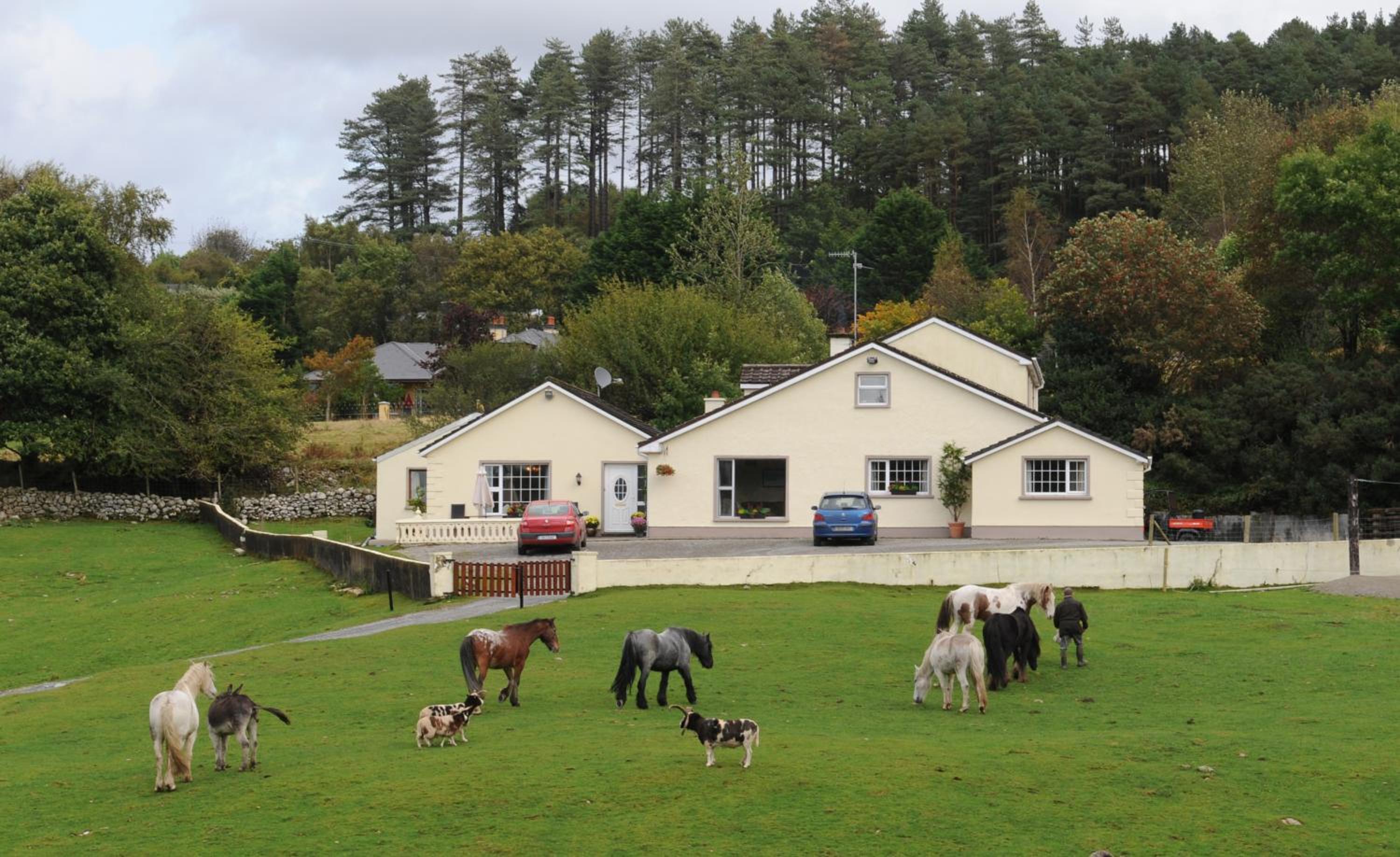 Muckross Riding Stables 16/17