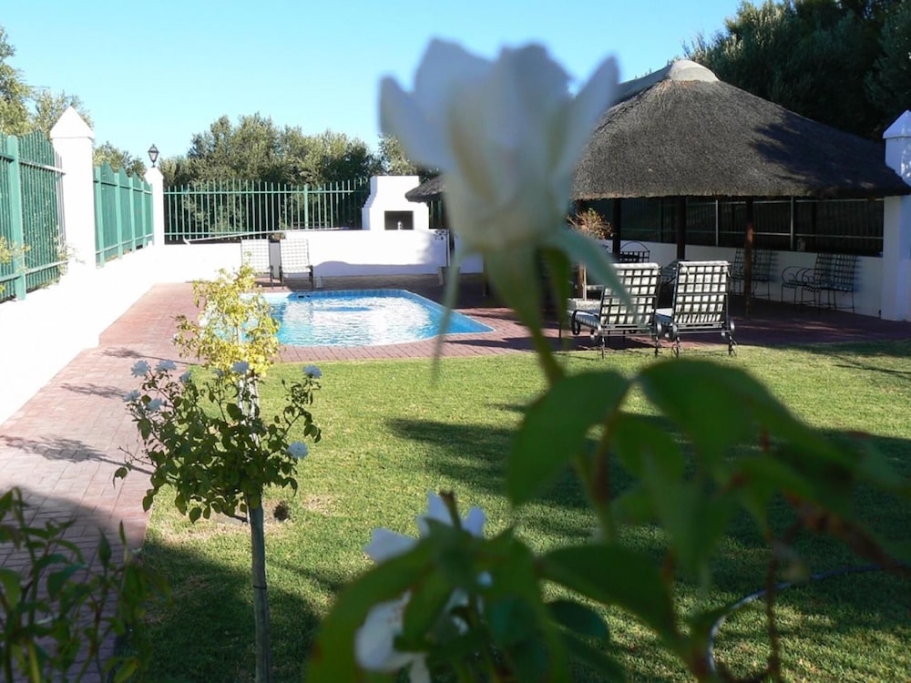 Olive Grove Guest Farm 38/50