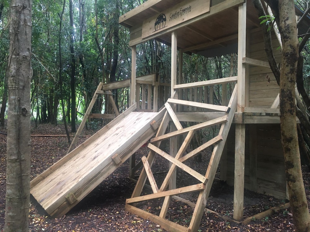 Cabanas Anulen Bosque Nativo 20/49