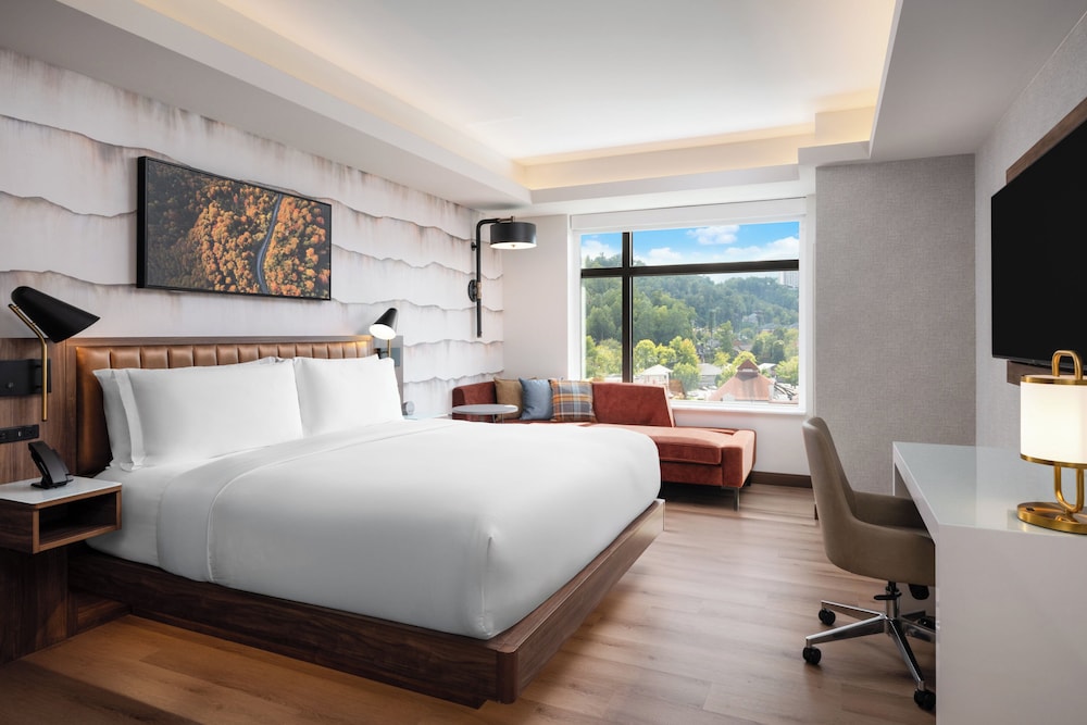 Hotel Indigo Gatlinburg Downtown by IHG 16/50