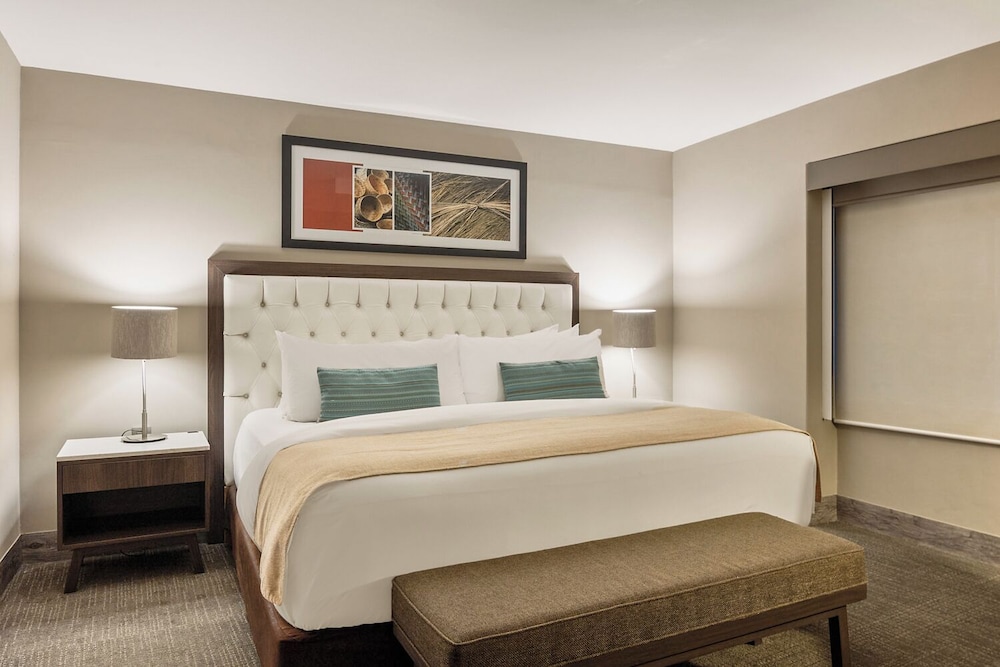 Dominion Polanco Ex Dominion Corporate Suites 7/50