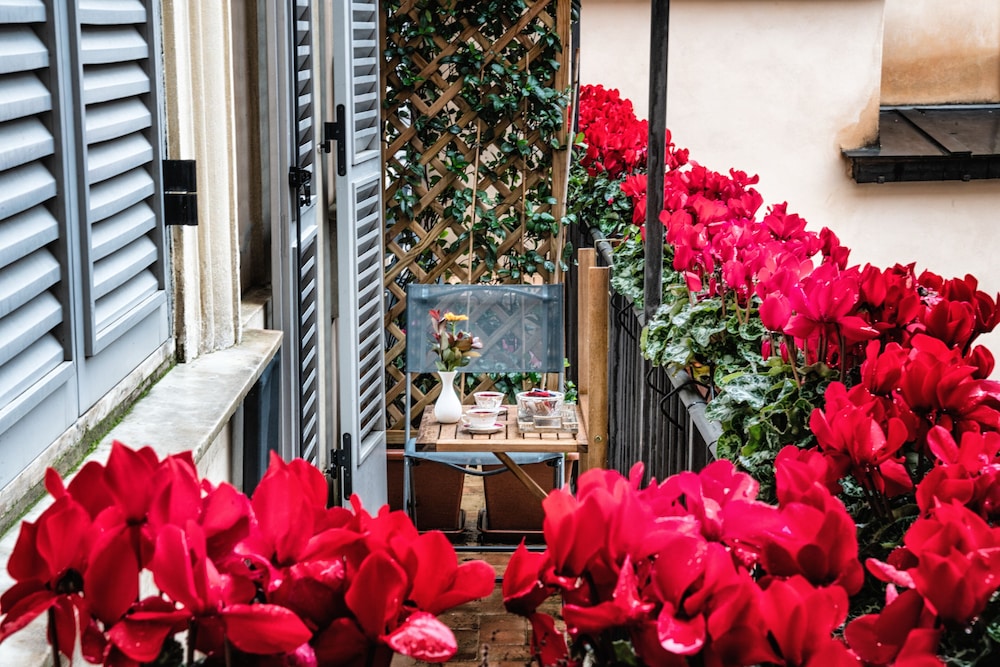 Navona Grand Suite 40/50