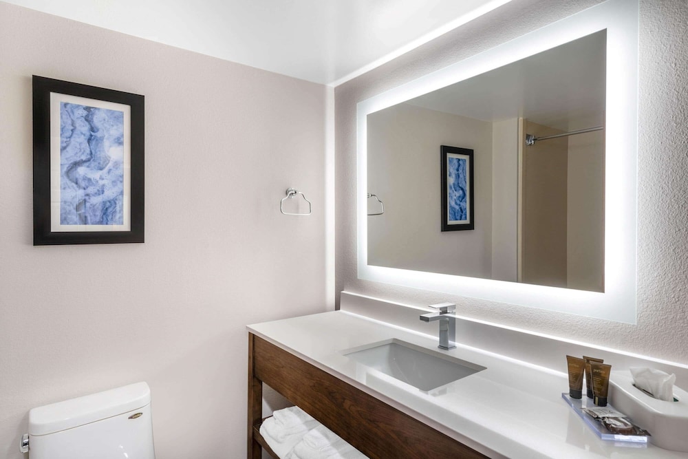 Holiday Inn Express Mobile I-65, an IHG Hotel 27/41