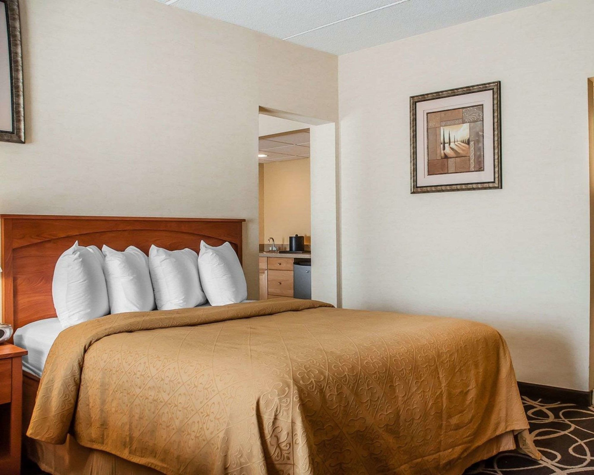 ROOM, QUEEN BED, ACCESSIBLE