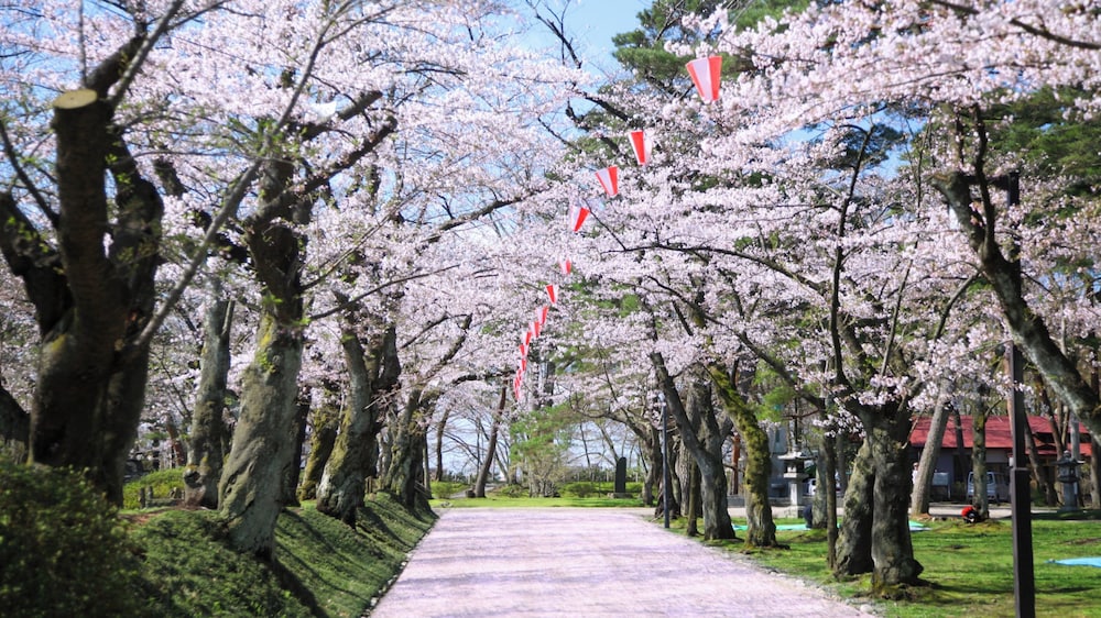 ANA Crowne Plaza Akita by IHG 45/50