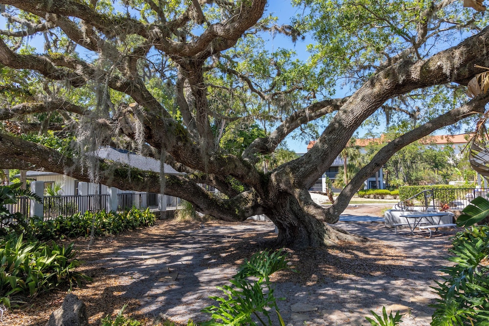 Legacy Vacation Resorts - Palm Coast 46/50