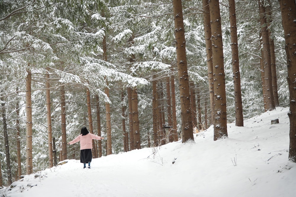 Yong Pyong Resort 38/50