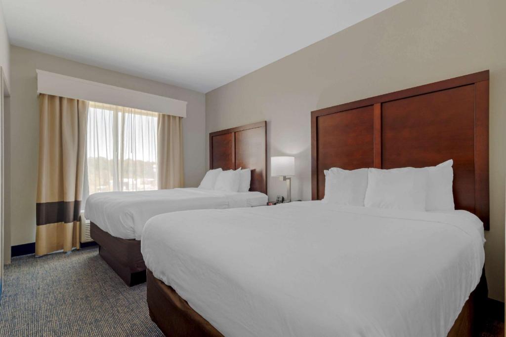 Upgrade, Suite, 2 Queen Beds