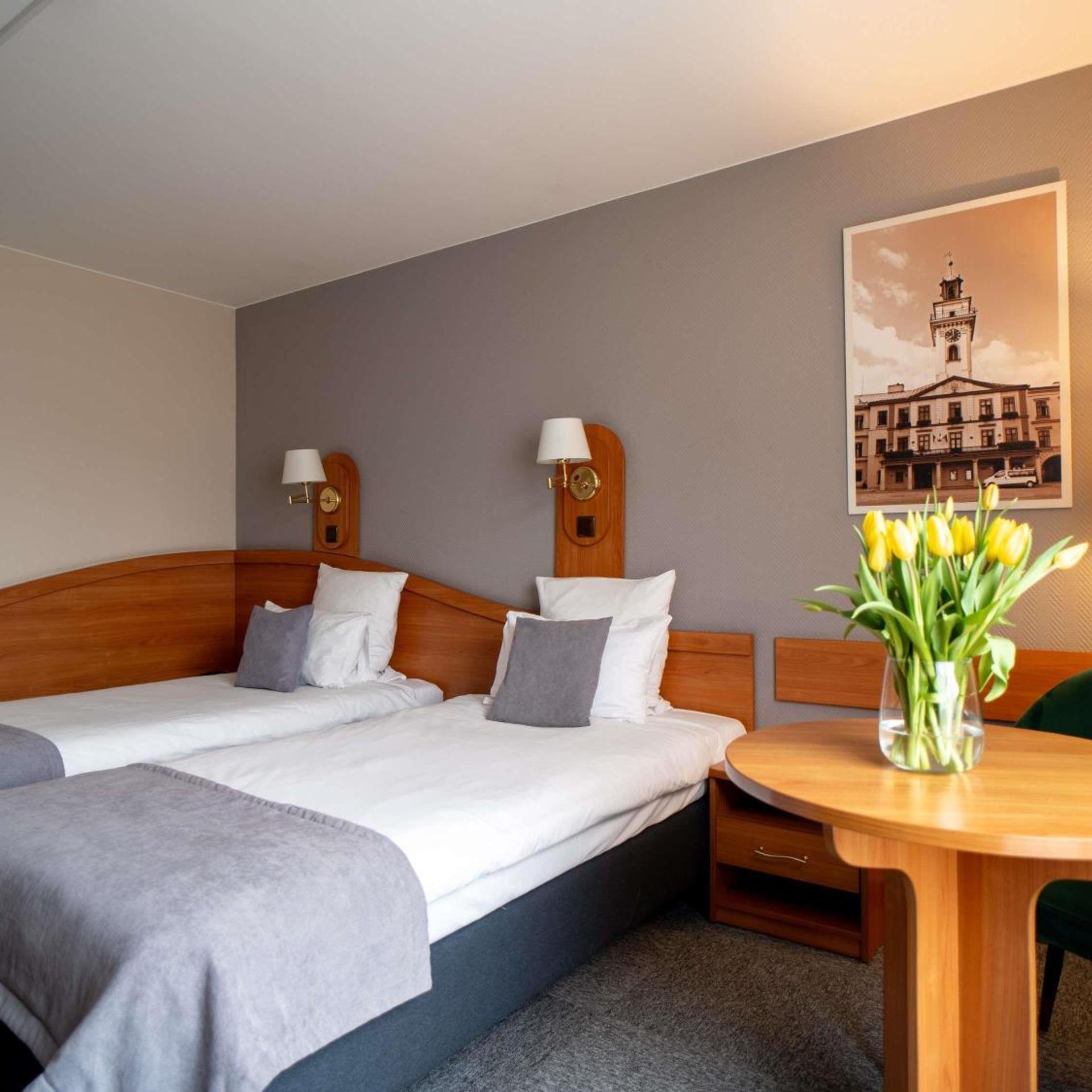 Classic, Twin Beds, Garden Side، Mercure Cieszyn 2/6