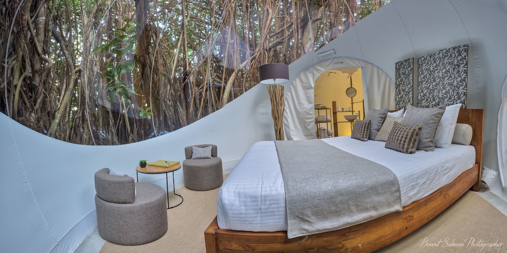 Tree, Banyan, Bungalow, Queen Bed, Sofa