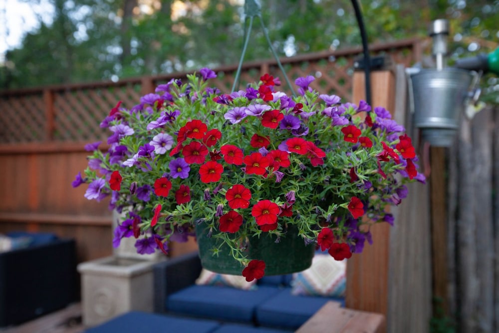 Dreamcatcher Bed And Breakfast 51/75